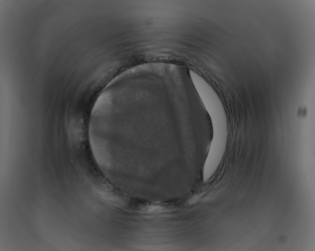 X0000091980224200710041116