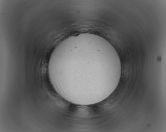 X0000091980226200710041116