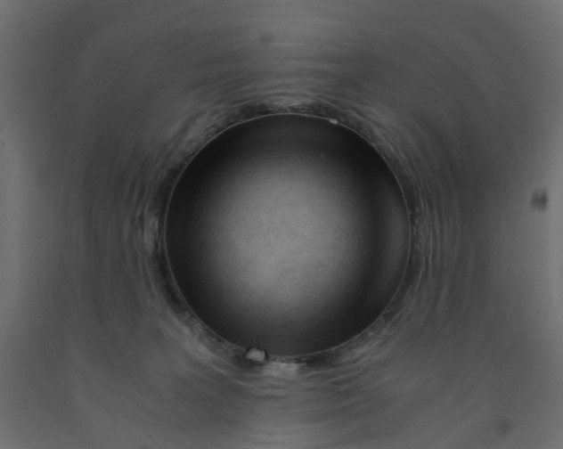X0000091980227200710041116