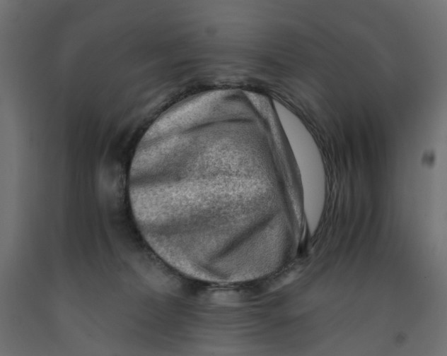 X0000091980228200710041116