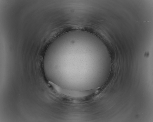 X0000091980229200710041116