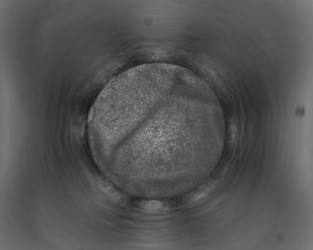 X0000091980230200710041116