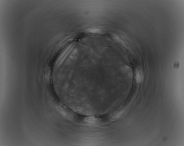 X0000091980231200710041116