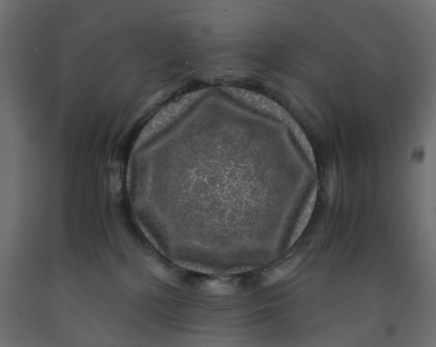 X0000091980232200710041116