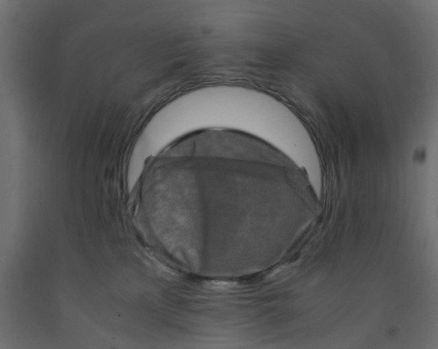 X0000091980233200710041116