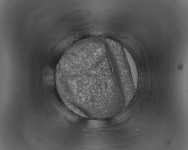 X0000091980234200710041116