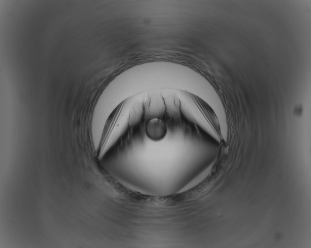 X0000091980235200710041116