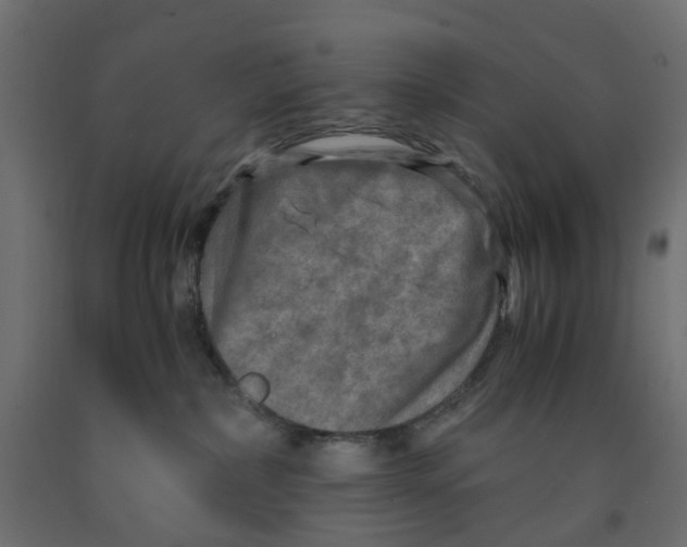 X0000091980236200710041116