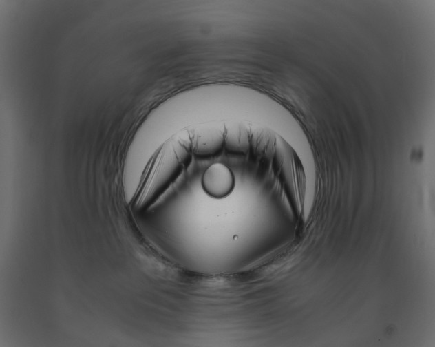 X0000091980237200710041116