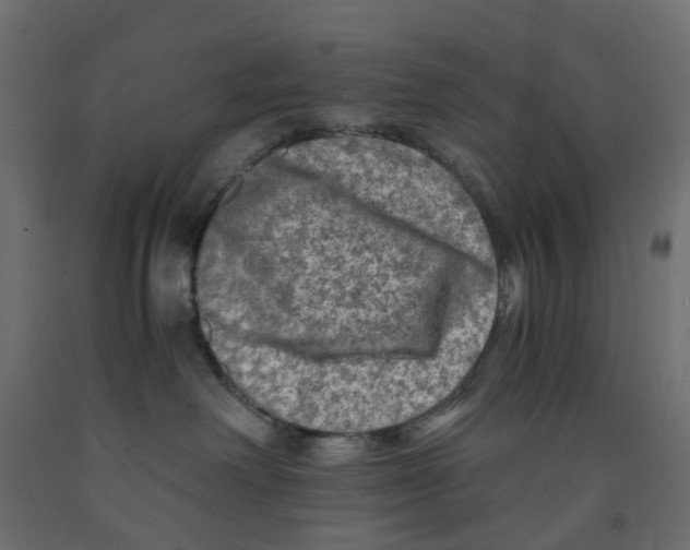 X0000091980238200710041116