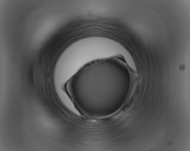 X0000091980239200710041116
