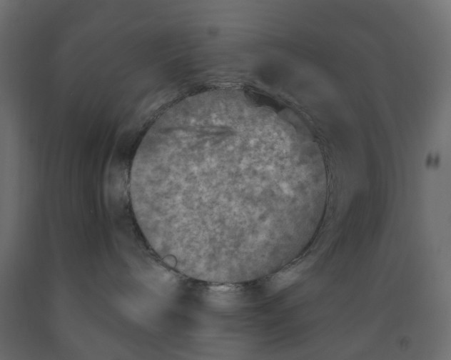 X0000091980240200710041116
