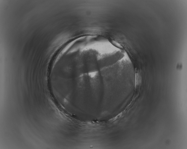 X0000091980243200710041115