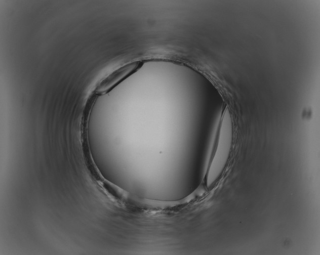X0000091980244200710041115