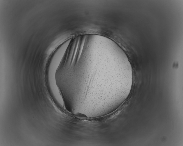 X0000091980245200710041115