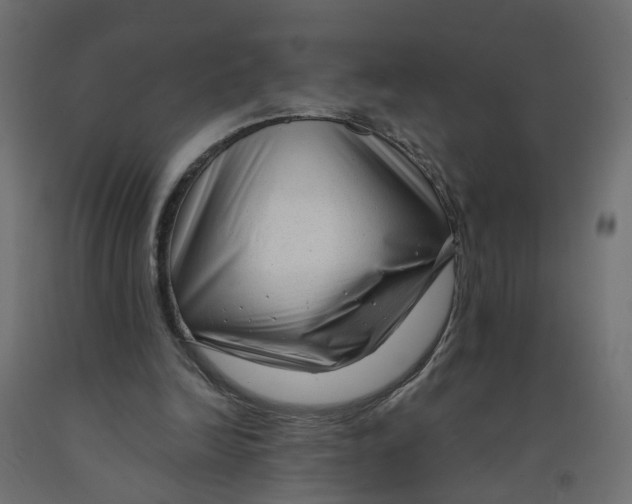 X0000091980246200710041115