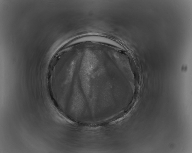 X0000091980247200710041115