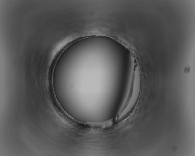 X0000091980248200710041115