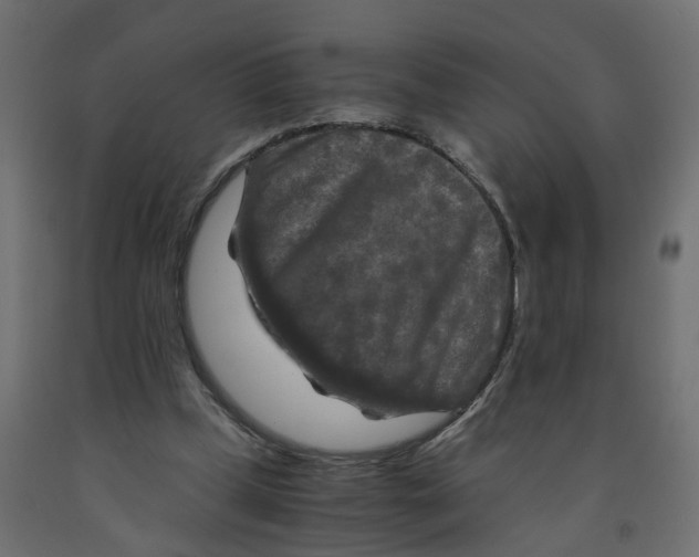 X0000091980249200710041115