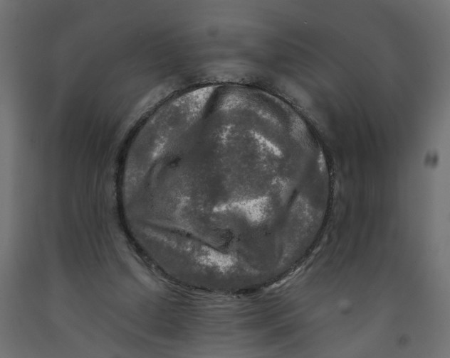 X0000091980250200710041115