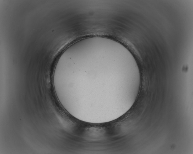 X0000091980251200710041115