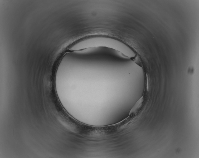 X0000091980252200710041115