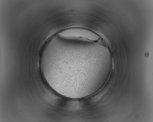 X0000091980253200710041115