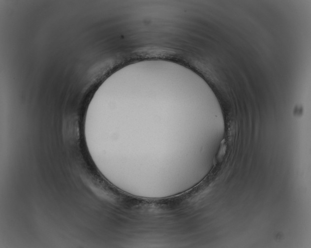 X0000091980254200710041116