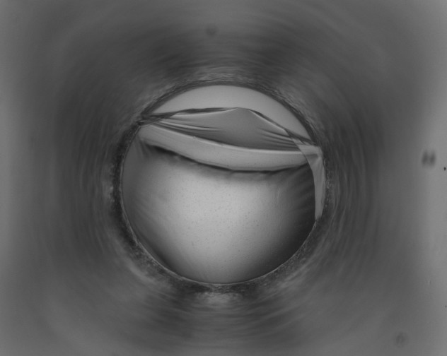 X0000091980255200710041116
