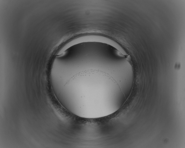 X0000091980256200710041116
