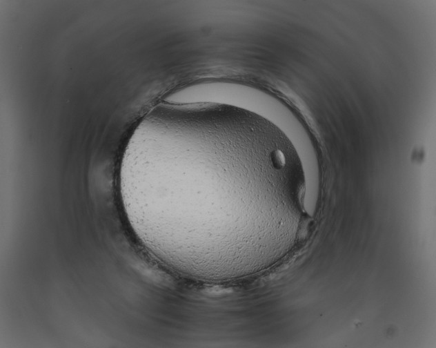 X0000091980257200710041116