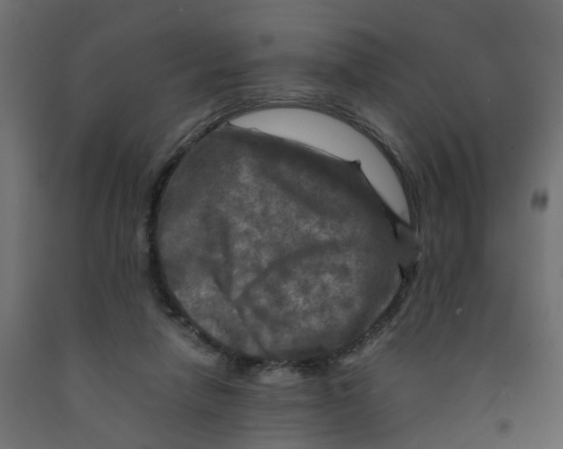 X0000091980258200710041116