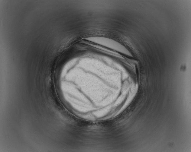 X0000091980259200710041116