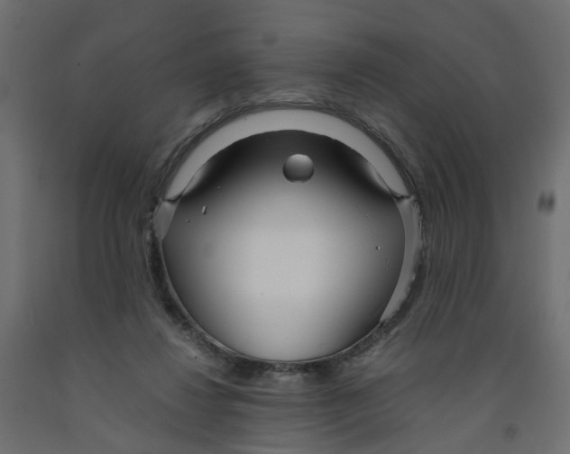 X0000091980260200710041116