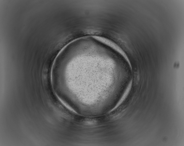 X0000091980263200710041116