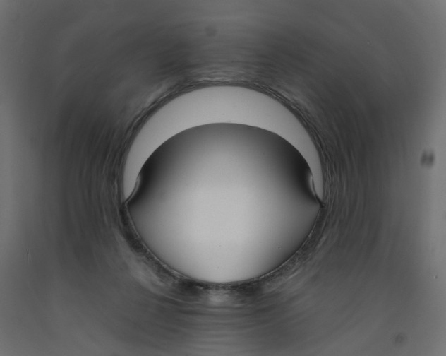X0000091980264200710041116