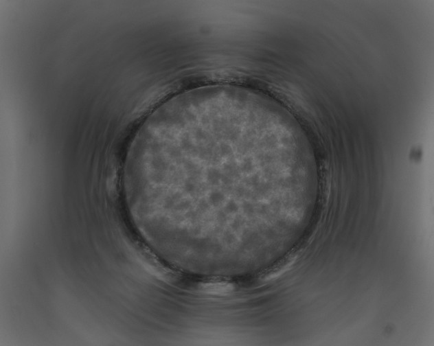 X0000091980266200710041116