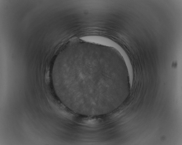 X0000091980267200710041116