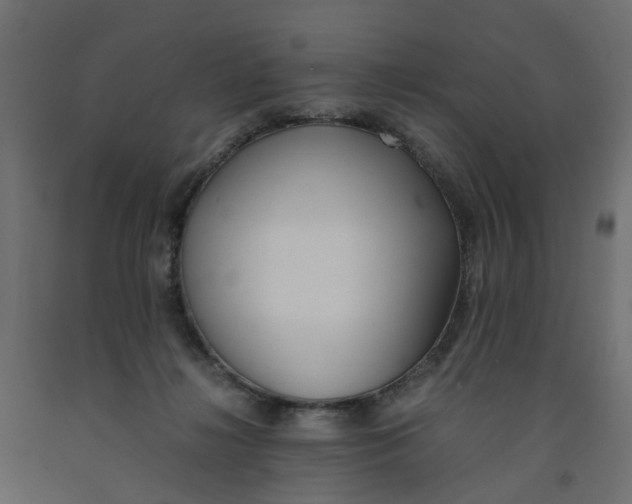 X0000091980268200710041116
