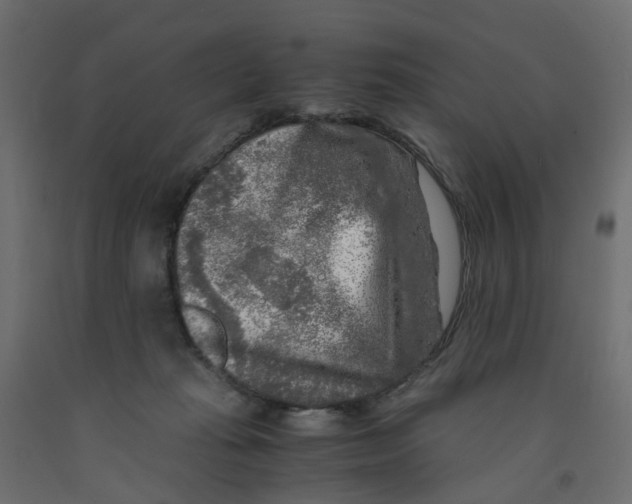 X0000091980269200710041116