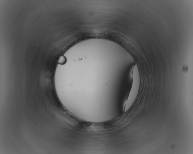 X0000091980270200710041116