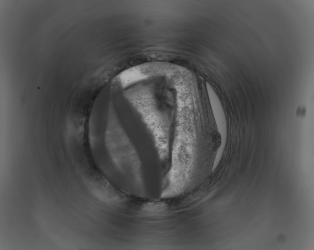X0000091980271200710041116