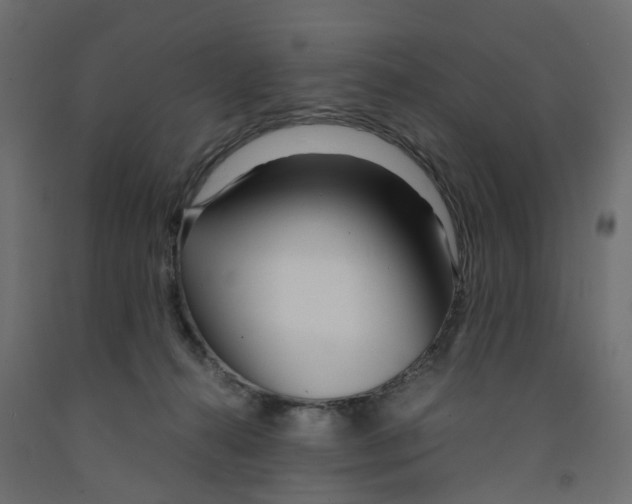 X0000091980272200710041116