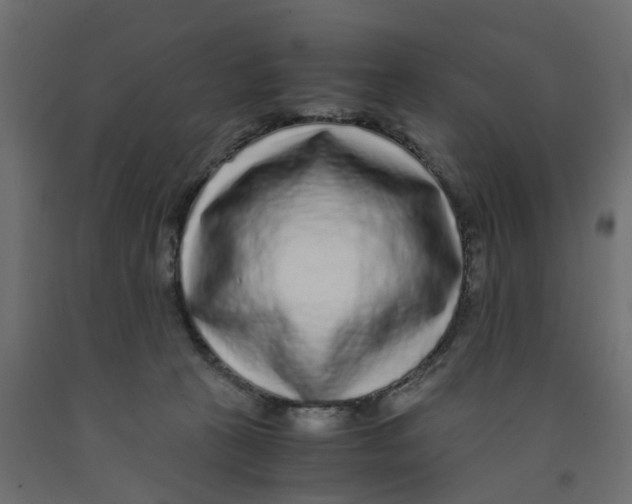 X0000091980273200710041116