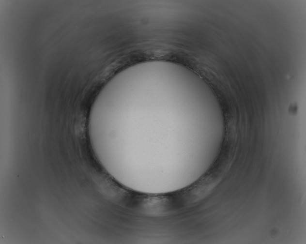 X0000091980274200710041116