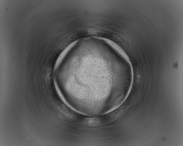 X0000091980275200710041116