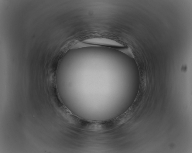 X0000091980276200710041116