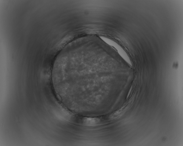 X0000091980277200710041116