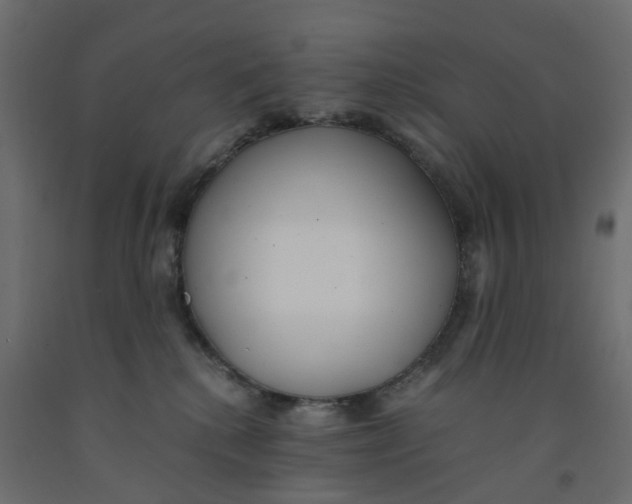 X0000091980280200710041116