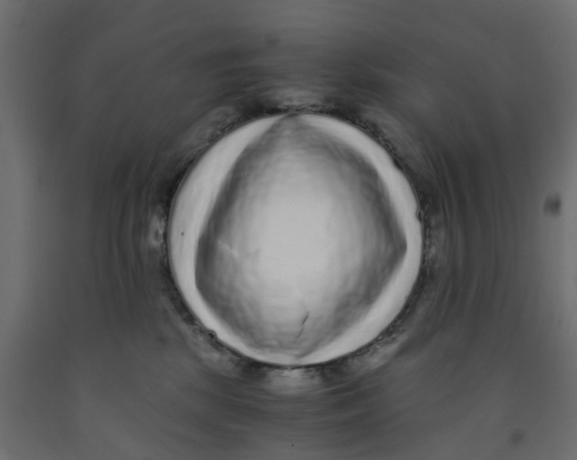 X0000091980281200710041116